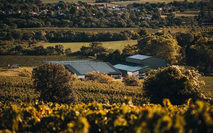 Focus de l’Observatoire Viticole sur les labels en viticulture raisonnée